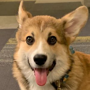 Meet your Posher, Edward